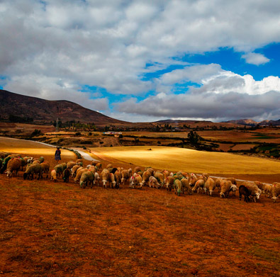 CUSCO COLORIDO 5D – 4N