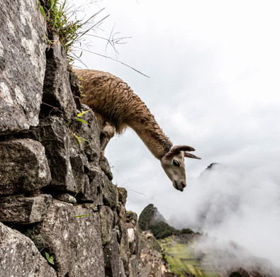 Súper Valle Sagrado Vip a Machupicchu