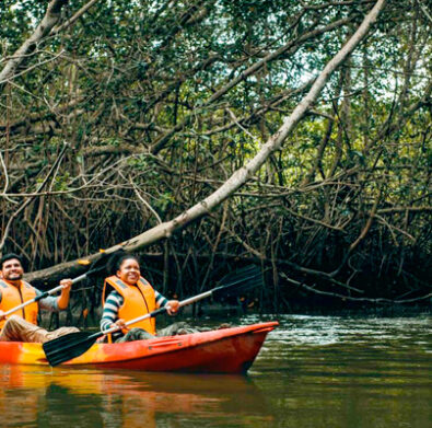 Tour Manglares de Tumbes