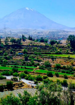 Tour Campiña Arequipa